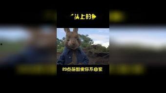 7M视频门国产,揭秘国产影视行业的新趋势与挑战