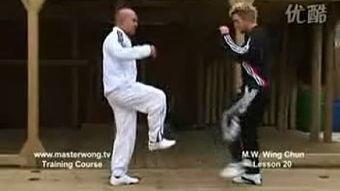 国产游戏咏春拳视频大全,国产游戏中的经典对决