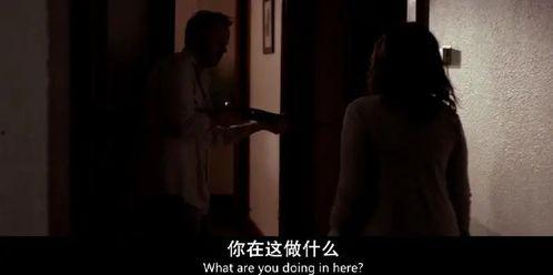 视频成年人国产,成年人视角下的国产崛起之路